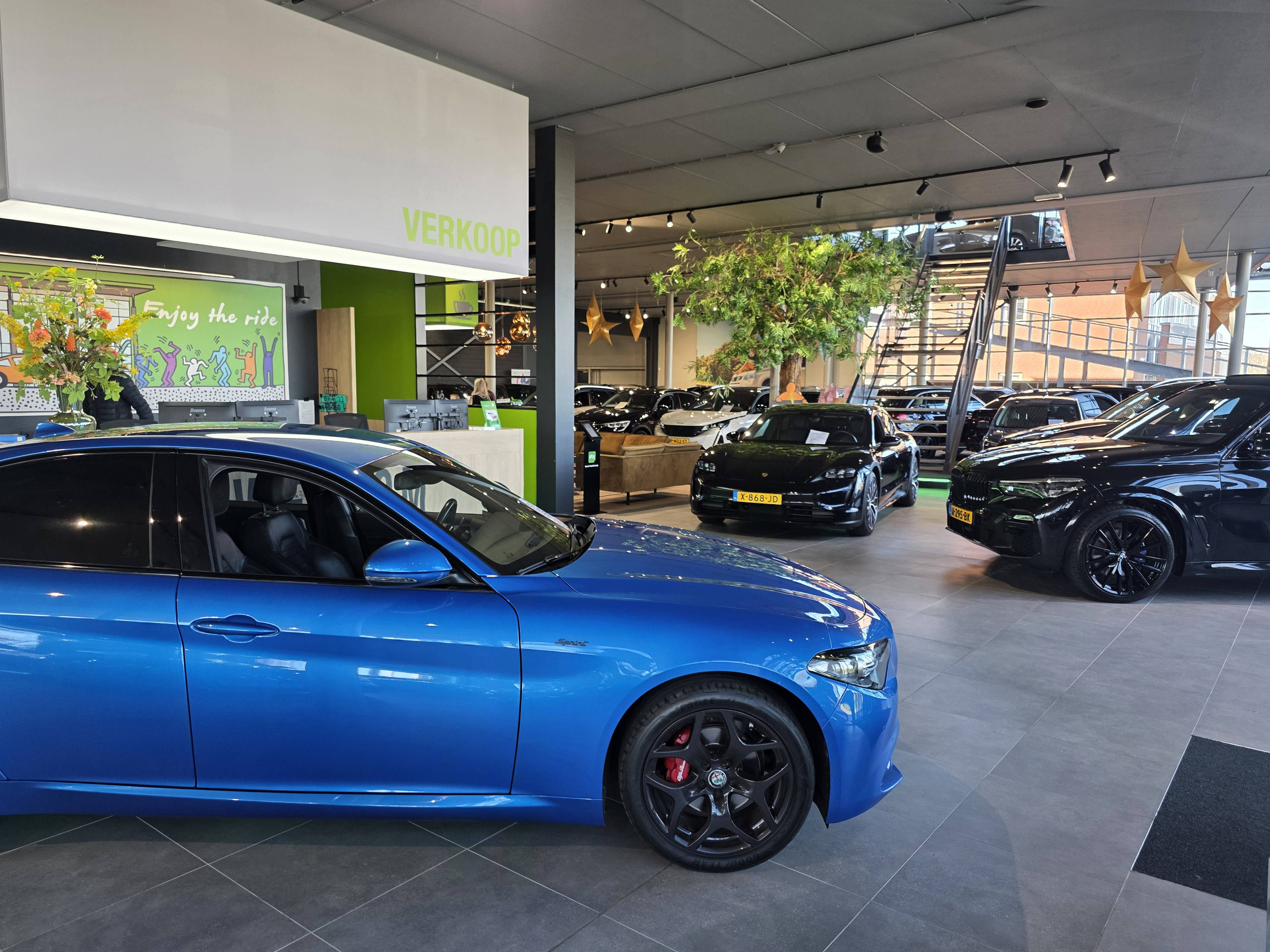 Koop jouw droom occasion in onze XL showroom of hier online