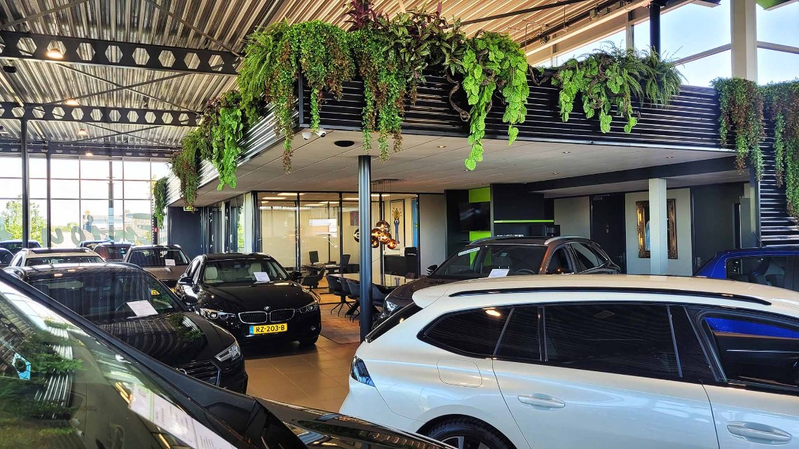 Koop jouw betrouwbare occasion in één van onze 5 vestigingen of hier online